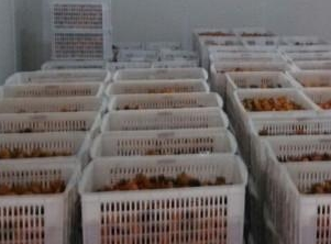 保鲜库和冷冻库的区别。