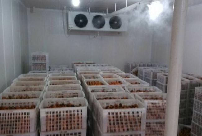 跟着安徽香蕉视频成人在线一起来了解下影响冷库设备制冷效果的几个因素吧！