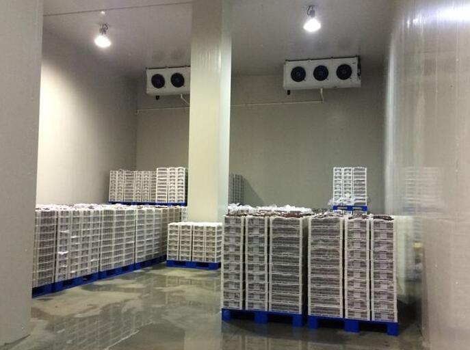 冷库建造类型有几种？香蕉操逼视频的价格组成部分？