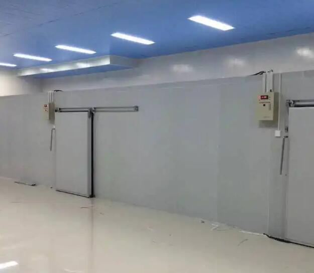 鲜花保鲜冷库如何配置效果更好？请看安徽香蕉视频成人在线冷库厂家的介绍